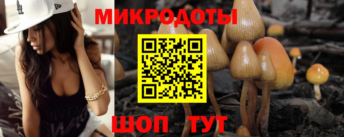 Псилоцибиновые грибы Psilocybe  Вход с VPN  Галлюциногенные грибы Psilocybine cubensis  Костомукша 